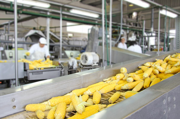 Speciality lubricants for food processing technology